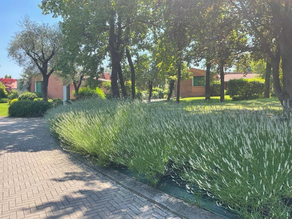 Garda Golf Country Chic Home سويانو ديل لاغو المظهر الخارجي الصورة